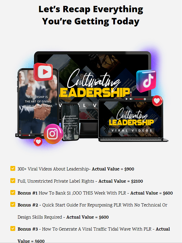 300PLR Leadership ViralVideos Review — Funnel Overview