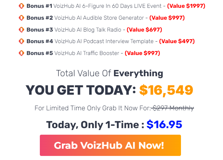 VoizHub AI Review – How Much Does It Cost?