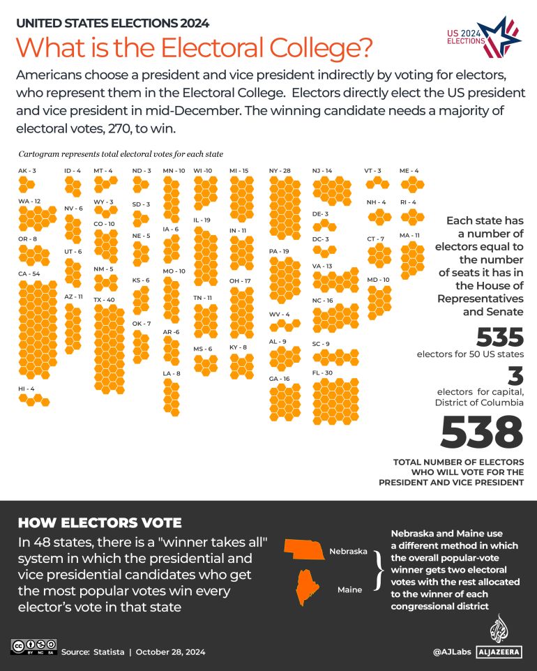 Major Issues Influencing the US Election 2024