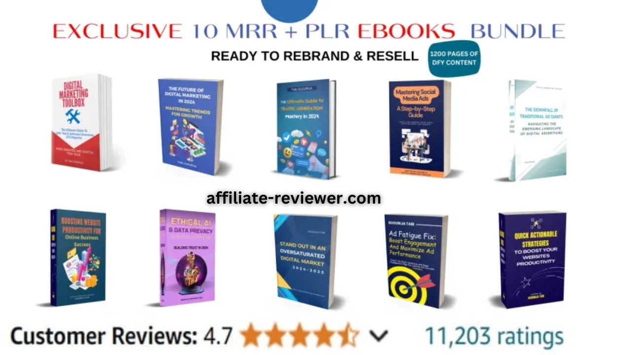 The Main Difference Between PLR and MRR Explained